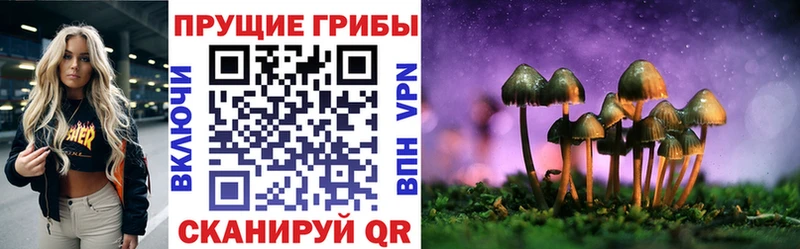 Галлюциногенные грибы ЛСД  Петров Вал 